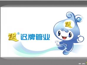 迟牌管业产品展示 产品相册 品牌详情